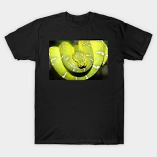 Emerald Tree Boa #1 T-Shirt